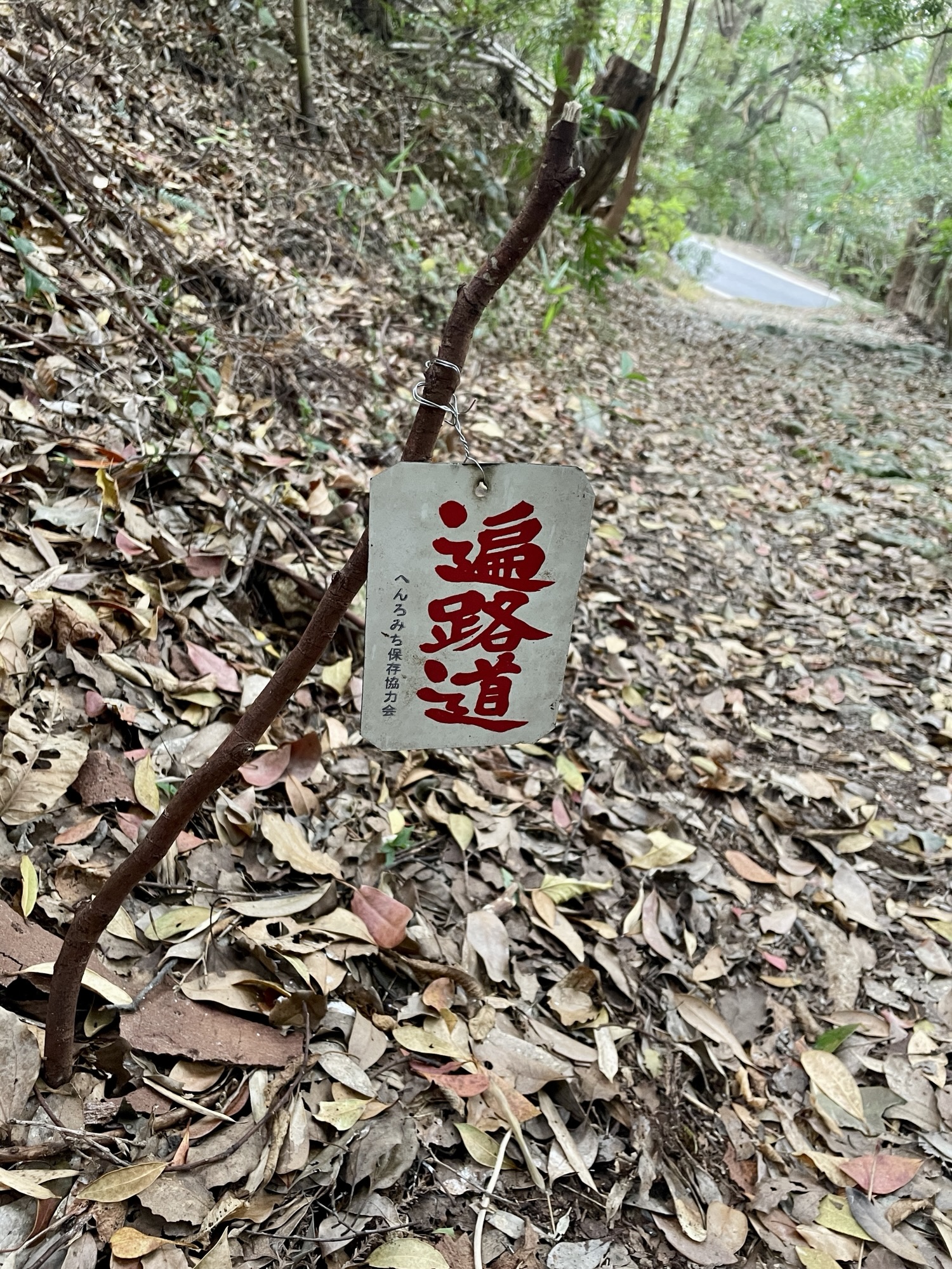 31番竹林寺→32番禅師峰寺→33番雪蹊寺→34番種間寺